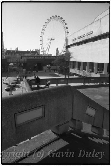 London Eye from the Southbank Centre.jpg